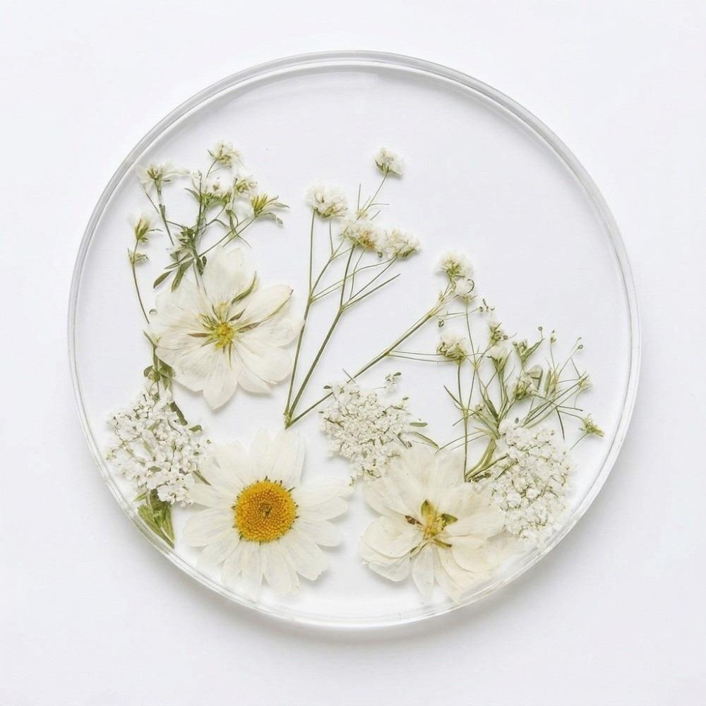 Round Floral Print Coasters Transparent Cup Mat Durable Insulation Pad  Tea Table