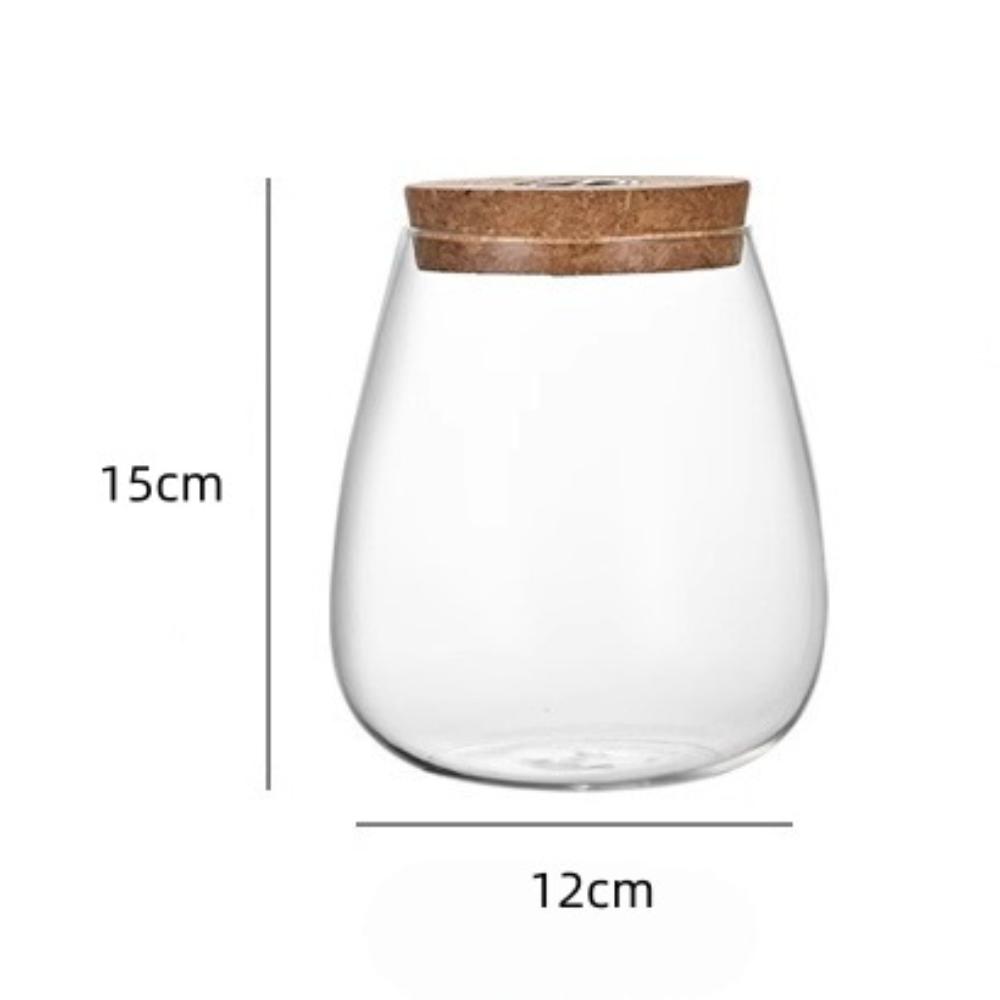 Thick Vase Rack Glass Material Water Cultivation Vase Flower Arrangement Vase  Home Decoration