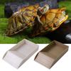 Burr-free Tortoise Feeder With Platform Turtle Tank Tank Accessories Turtle Feeding Basin  Snake