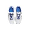 Nike Air Max Excee White Deep Royal Blue Мужские кроссовки Photo-Blue Photon-Dust DZ0795-100
