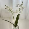 Elegant Dendrobium Artificial Orchid Stem With Foliage For Tabletop Decoration