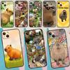 Капибара милый чехол для телефона для iPhone 16 15 14 13 11 12 Pro Max Plus 12 13 Mini XR 16e Funda силиконовый чехол