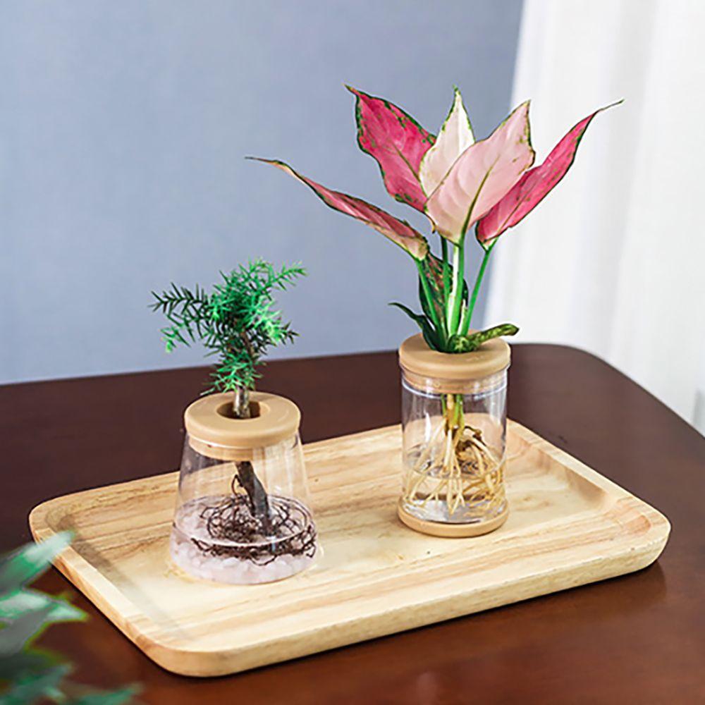 Glass Transparent for Indoor/Outdoor Hydroponic Flowerpot Flower Planter Garden Supplies Home Decor