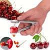Cherry Core Remover Red Date Olive Core Remover Home Kitchen Fruit and Vegetable Core Remover Small Tool Cherry Core Remover