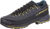 Hiking Shoes TX4 Evo GTX Carbon Bamboo
