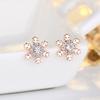 New 925 Sterling Silver High Quality Zircon Stud Earrings for Women Exquisite Student Girlfriend Jewelry Accessories Wedding