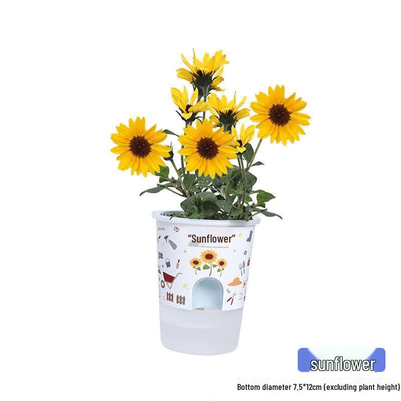Kids' DIY Plant Growing Kit