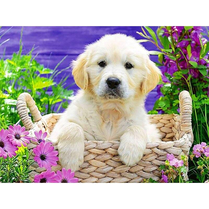 Новый 5D DIY алмазная живопись собака цветок Алмазная вышивка животное вышивка крестиком полная круглая дрель домашний декор ручной художественный подарок