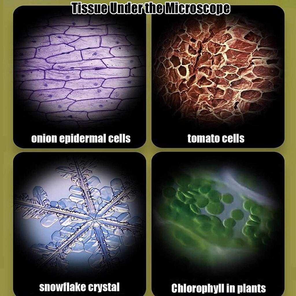 Kids Toys Science Experiment Pocket Microscope Kits 60-120x Educational Mini Handheld Microscope Light Children Stem Toy Gifts