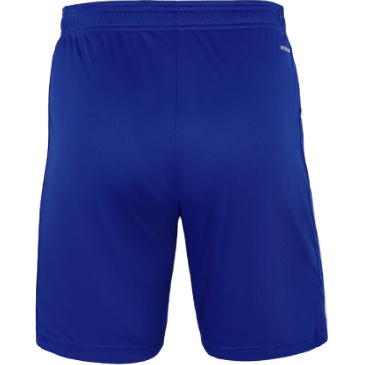 adidas Мужские футбольные брюки синего цвета JW9914