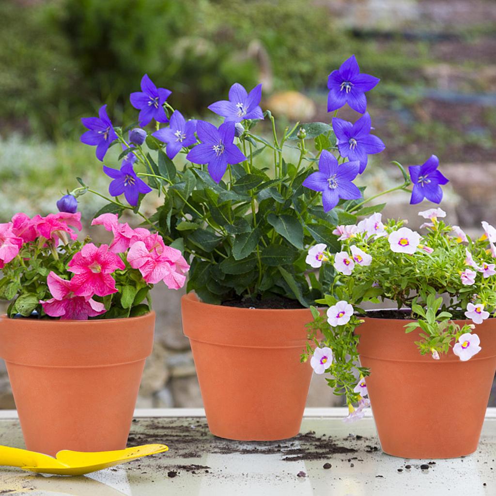 20 шт. Мини-терракотовый горшок, глиняный горшок для рассады, 1,77-дюймовый мини-глиняный горшок, крошечный глиняный горшок с дренажными отверстиями, семена суккулентов