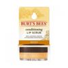 Burt S Bee Conditioning Lip Scrub 7.08g and 1 Other Type of Mocha