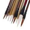 10 Выбранных Наборов Кистей для Китайской Живописи Профессионального Уровня Каллиграфия/Китайская Живопись Поставляется с Портативной Сумкой для Хранения
