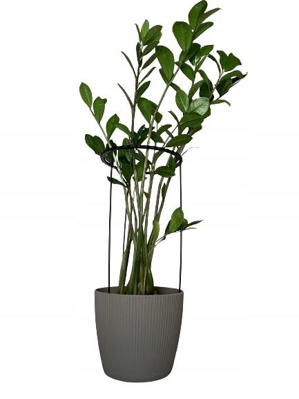 Podpora roślin kwiatów obejma pierścieniowa obręcz podpórka ring xl 60x28cm