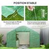 Garden greenhouse tunnel, 4 x 3 x 2 m, roll-up doors, large windows, green