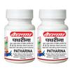 Асли Аюрвед Патрина 50 таблеток Упаковка из 2 аюрведический травяной препарат для поддержки почек и мочевыводящих путей