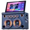 Домашняя акустическая система SANSUI C11 для KTV с дисплеем (Китайская версия)