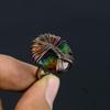 Tree Of Life Ammolite Gemstone Copper Wire Wrapped Handmade Jewelry Ring For Gift