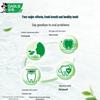 Darlie Longjing Tea Mint Toothpaste 4-Pack (140g each)