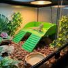 Double Ladder Turtle Basking Platform Plastic Feeding Platform  Aquatic Turtles