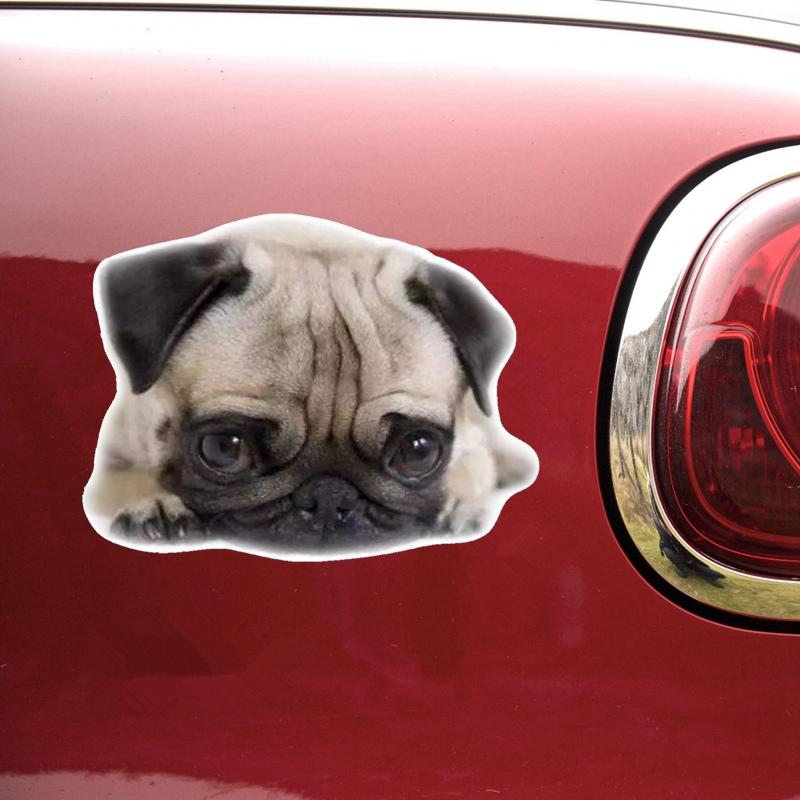 Tri Mishki WCS861 16x12 см милый мопс автомобильная наклейка ПВХ красочные наклейки водонепроницаемая наклейка на кузов автомобиля заднее окно