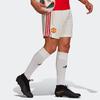 adidas Мужские штаны для футбола Cloud White H31448