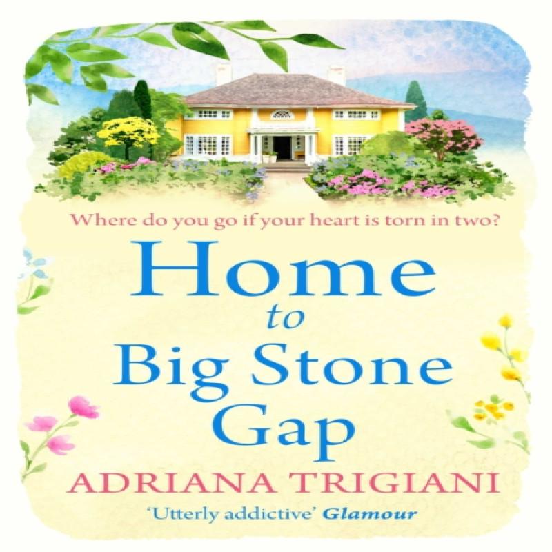 Home to Big Stone Gap by Adriana Trigiani Paperback Book 9781471148934