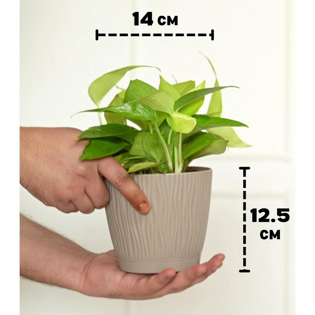 Набор из 8 самополивающихся цветочных горшков для гостиной и домашнего декора | Пластиковые горшки для растений для дома, балкона и сада