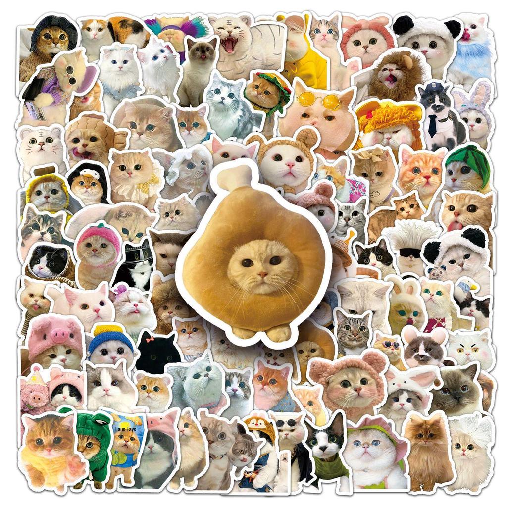 100 Cute Kitten Cartoon Stickers: Decorate Cups, Phone Cases, Guitars & More