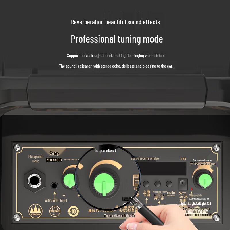 Soaiy SA-F33 Portable KTV & Live Stream Speaker