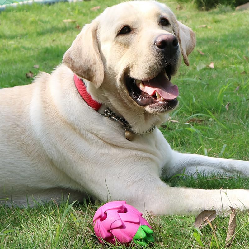 AUSCAT Игрушка для жевания собак, лакомство для собак среднего и большого размера, ранняя развивающая игрушка для снятия стресса в форме питайи, игрушка, мяч, игрушка, собаки, еда, игрушка,