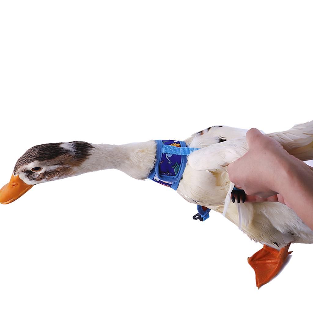 Регулируемая шлейка для утки с поводком-наклейкой для кроликов Легкий контроль Шлейка-поводок для утки Поводок для кролика