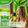 Moringa Capsules, 120 vegan moringa leaf powder capsules, an anti-inflammatory supplement that boosts the immune system, energy, and brain function.