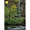 Nikon Standard Zoom Lens AF-S NIKKOR 24-120mm f/4G ED VR Full Size Compatible