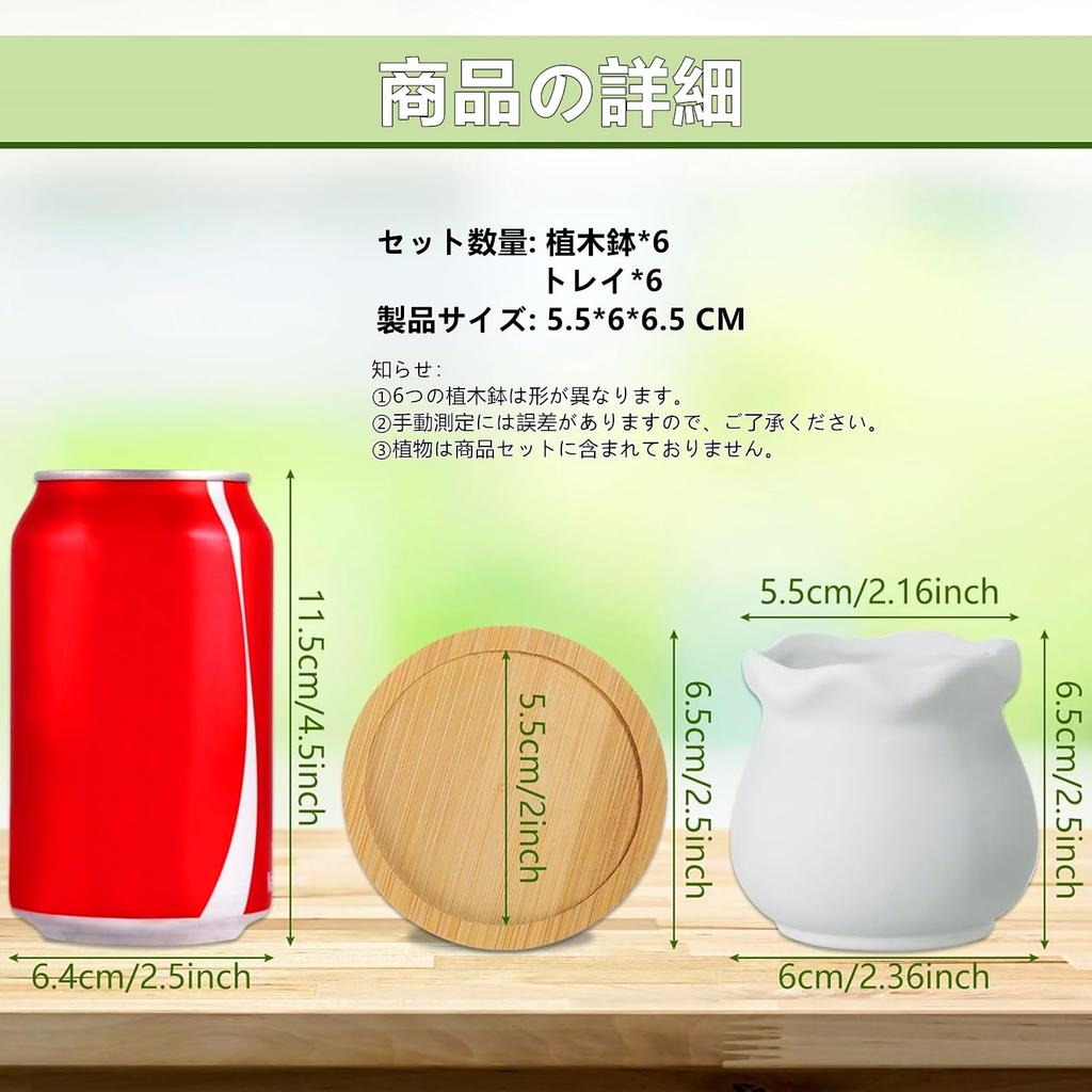 Facecolor Мини Керамический Кактус Кашпо Керамический Набор для Суккулентных Цветов Керамические Суккулентные Маленькие Горшки для Растений для Мини Подходит для Мини Бамбукового Блюдца