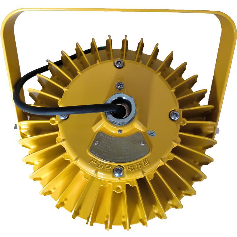 SEVA Explosion-Proof LED Emergency Work Light