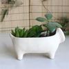 1pc Cute Ceramic Cat For Succulents Decorative Succulents Pot Mini Flower Pot Home Garden Decor