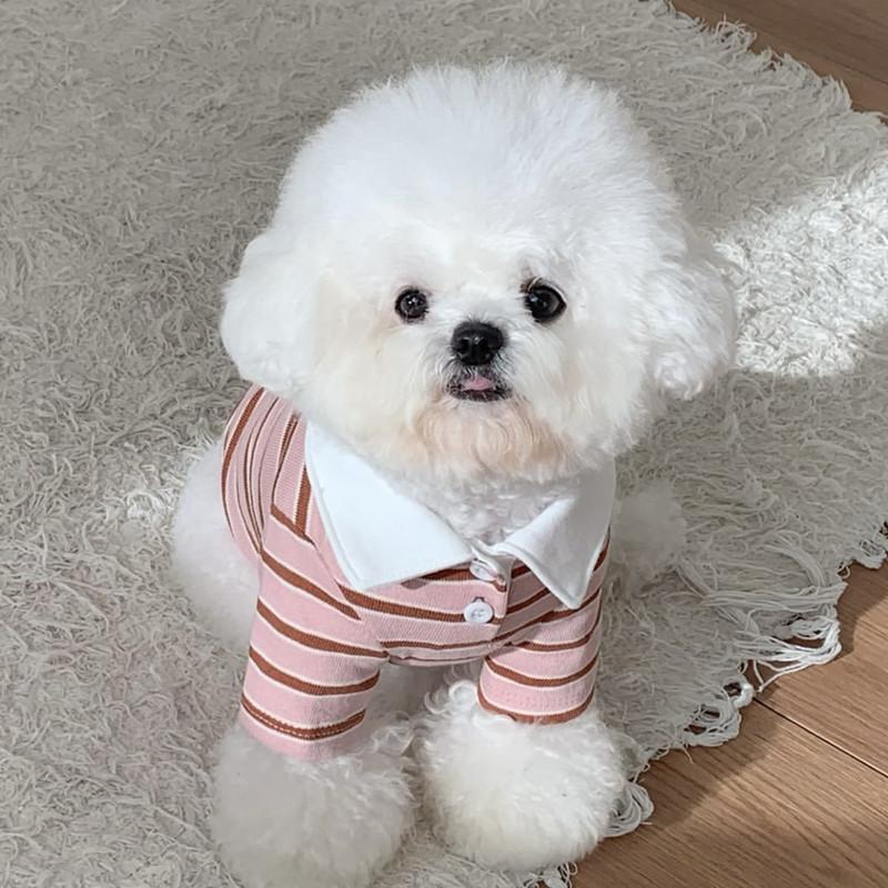 Dog Clothes Summer Thin Striped Teddy Bichon Small Dog Cat Pomeranian Yorkshire Pet Breathable T-shirt