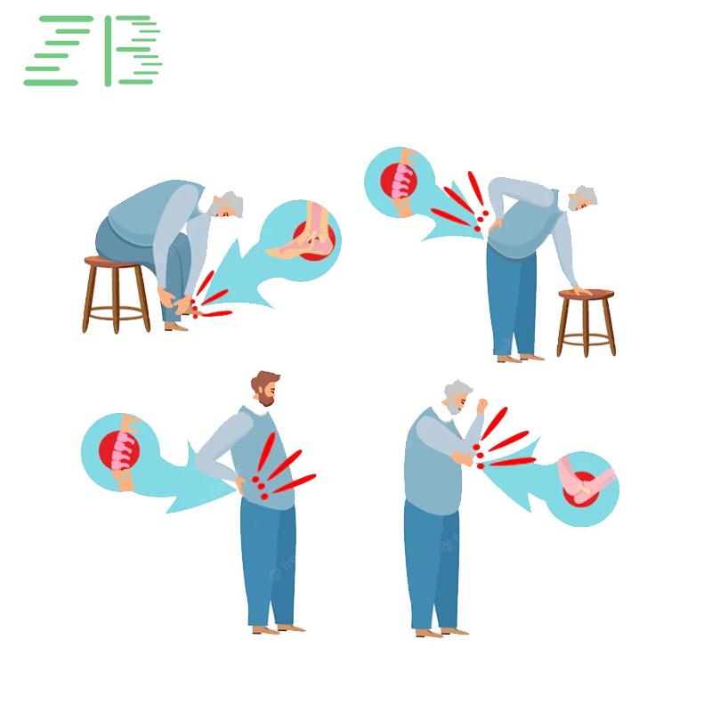 Joint Spine & Lumbar Cosmetic Care Ointment Pain Relief Soft & Comfortable Effective Pain Relief Therapeutic Ointment