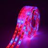 Full Spectrum Led Growth Light 5M 5050 Red+Blue Light Strip Hydroponic Aquarium Greenhouse Plants Growth Lamp