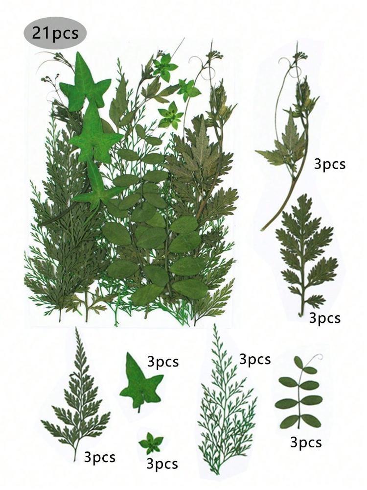 84 шт. сушеных листьев, прессованные цветы с пинцетом для форм из смолы, настоящая натуральная ассорти из сухой зелени для поделок, мыла, свечей, украшений для скрапбукинга