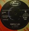 7-дюймовая пластинка BIG BOPPER Chantilly Lace 45AMT1002 Mercury 1958 UK Rock Б/у
