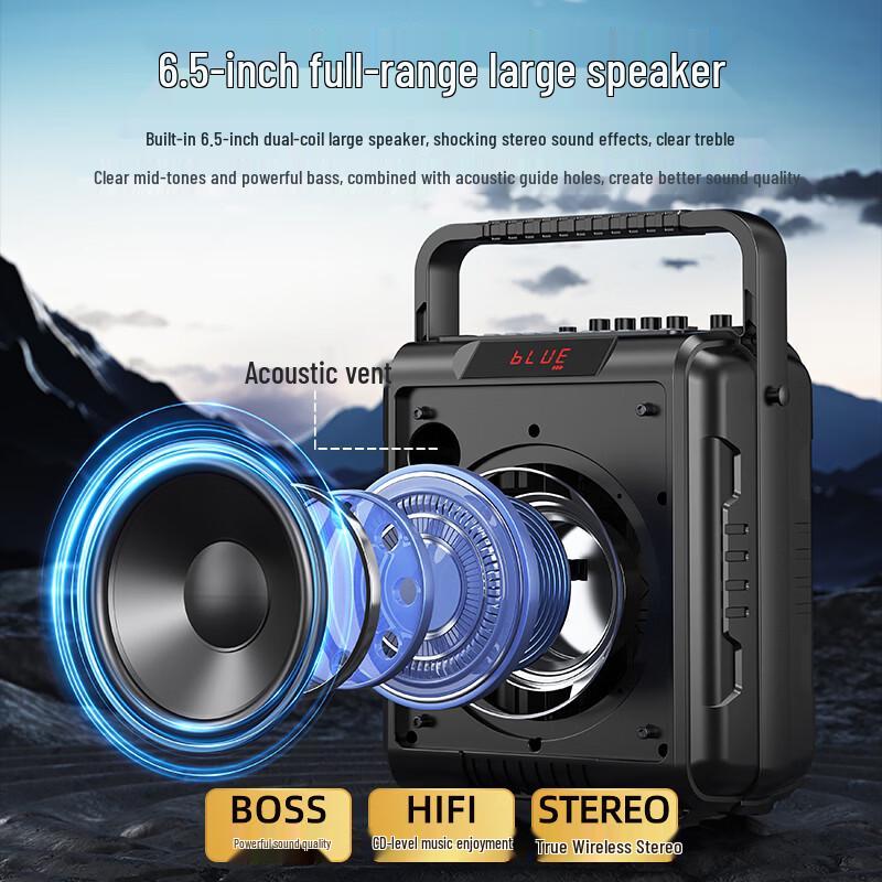 SANSUI Portable Bluetooth KTV Speaker System with Subwoofer (CN version)