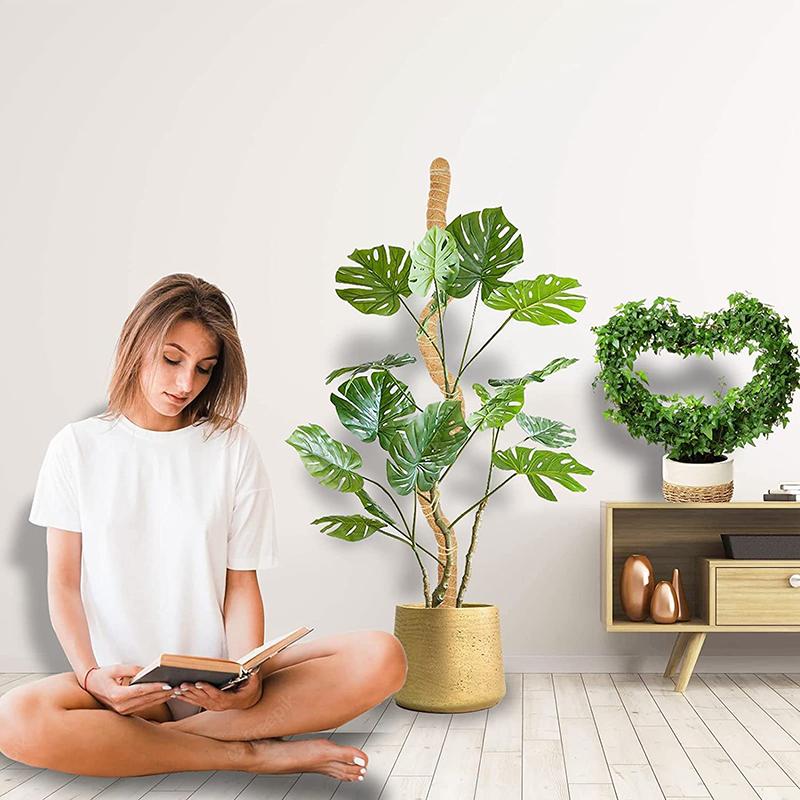 Рамка для лазанья по растениям Кокосовая скорлупа Мох Пальмовая трость Садоводство Кокосовый стержень Растягивающийся столб для скалолазания Комнатное растение Лиана