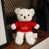Teddy Bear Sweater Hug Plush Doll for Girls - Valentine's Day or Birthday Gift