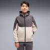 Boys' Hoodie Puma Pumatech Elevated Fz Dk 69473382 R 176