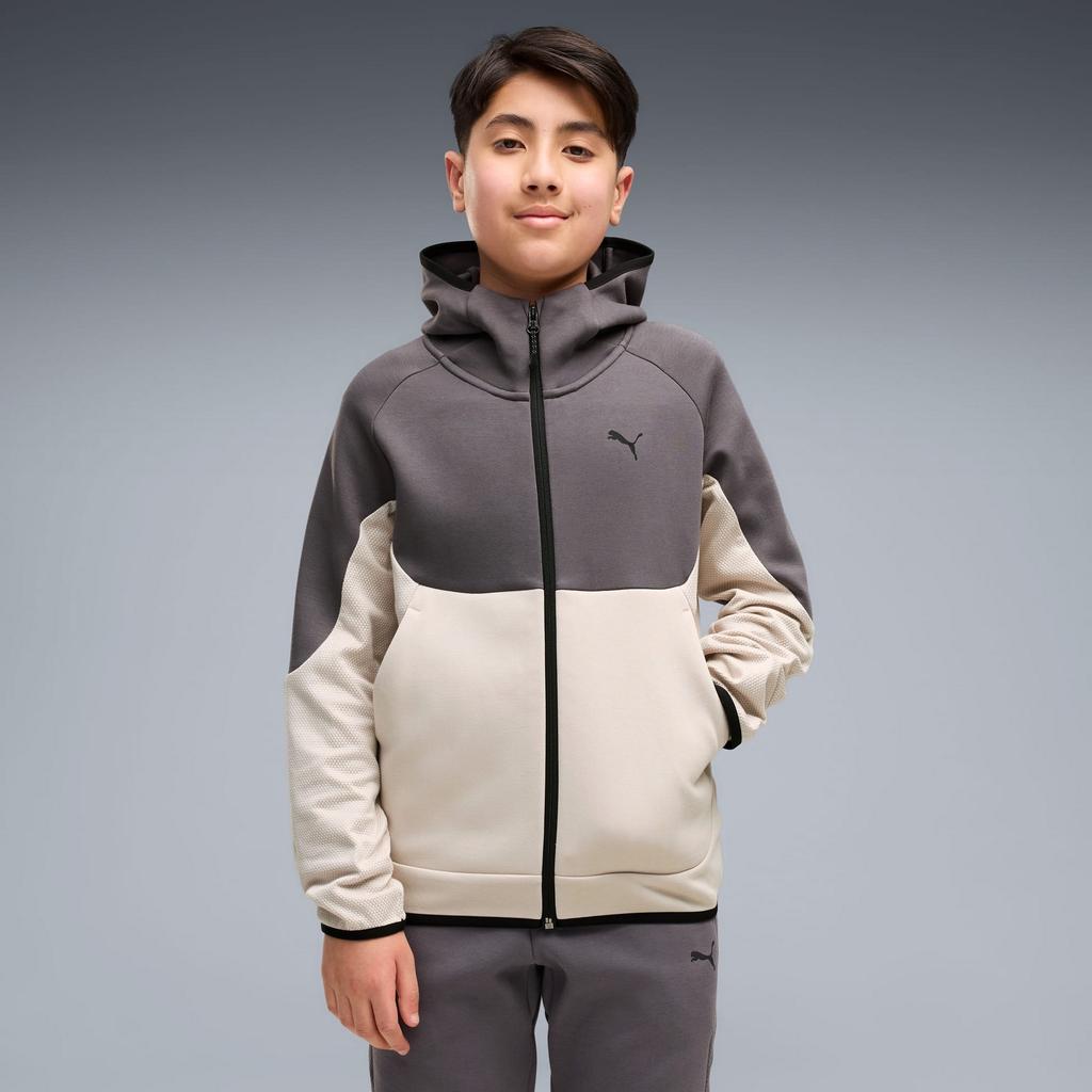 Boys' Hoodie Puma Pumatech Elevated Fz Dk 69473382 R 176