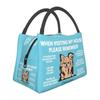 Сумки для обеда Bernese Mountain Dog, мужские, охладители, теплые, изолированные, для офисных поездок
