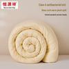 Hengyuanxiang Antibacterial Seven-hole Fiber Quilt
