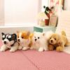 Имитация Домашний питомец Хаски Корги Плюшевая игрушка Милый мультяшный животный Лабрадор Мягкая кукла Домашний декор Подарки для девочки